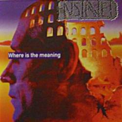 Enslaved (GER-2) : Where Is The Meaning ?